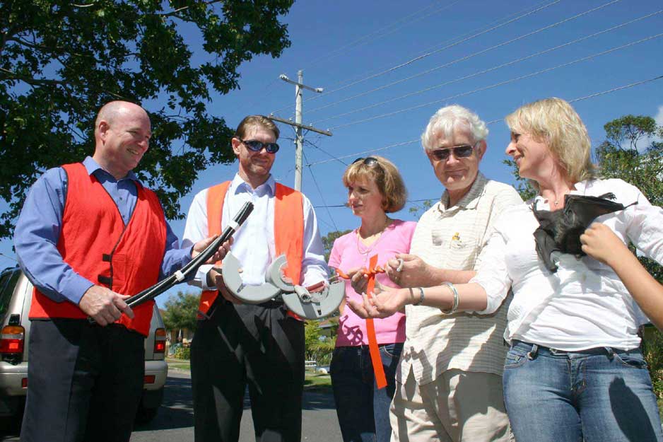 Energex with Bat Rescue Inc. members at a bat electrocution incident