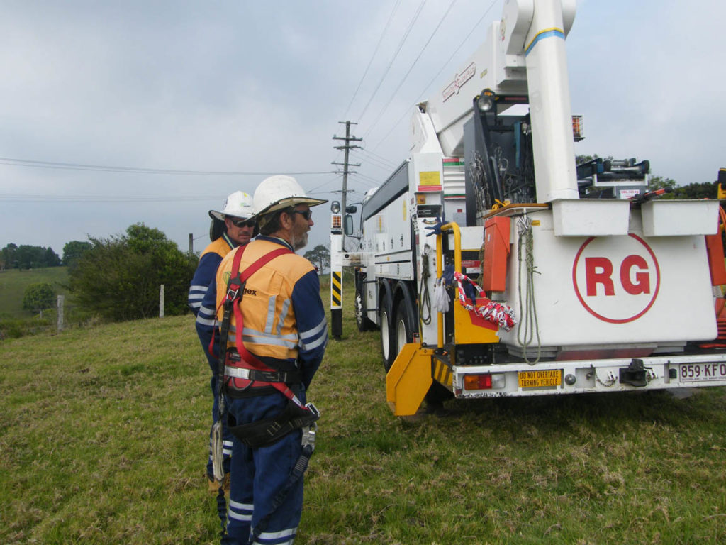 Energex helping at a bat electrocution on power lines