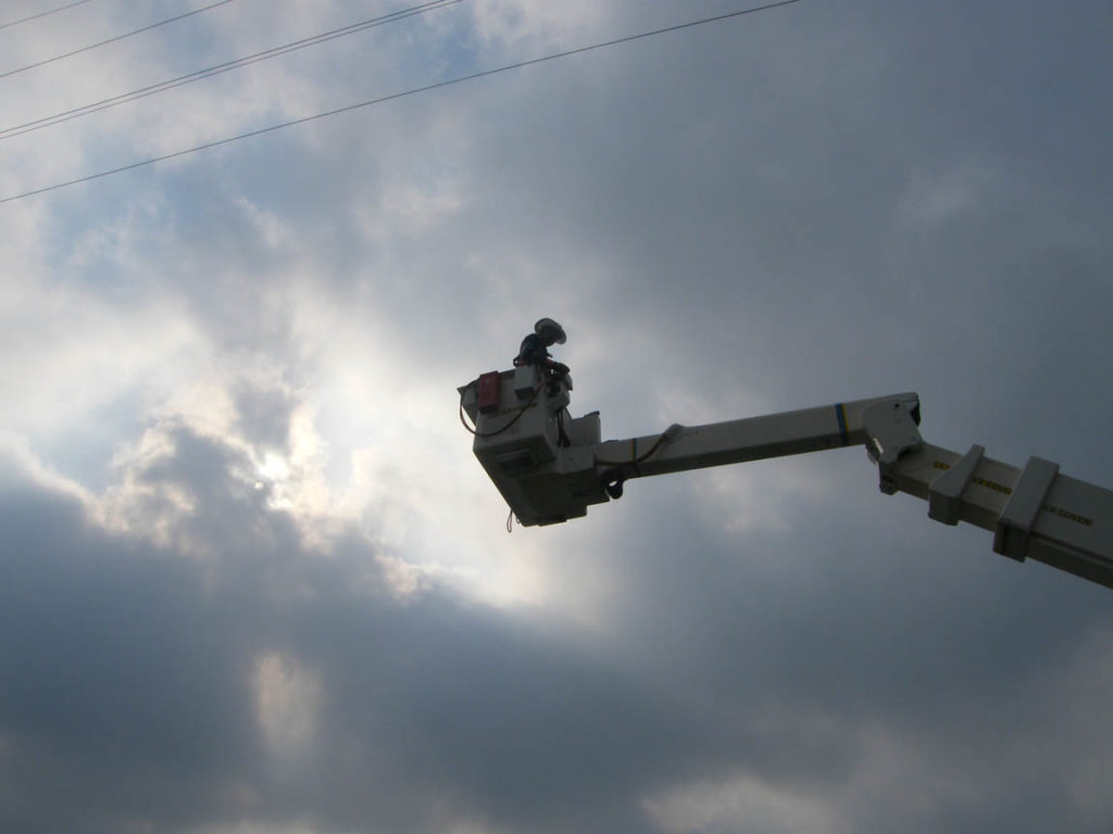 Energex helping at a bat electrocution