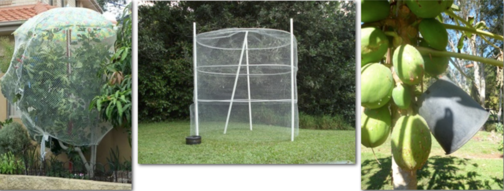 Three different methods of wildlife friendly fruit tree protection