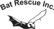 Bat Rescue Inc. Logo